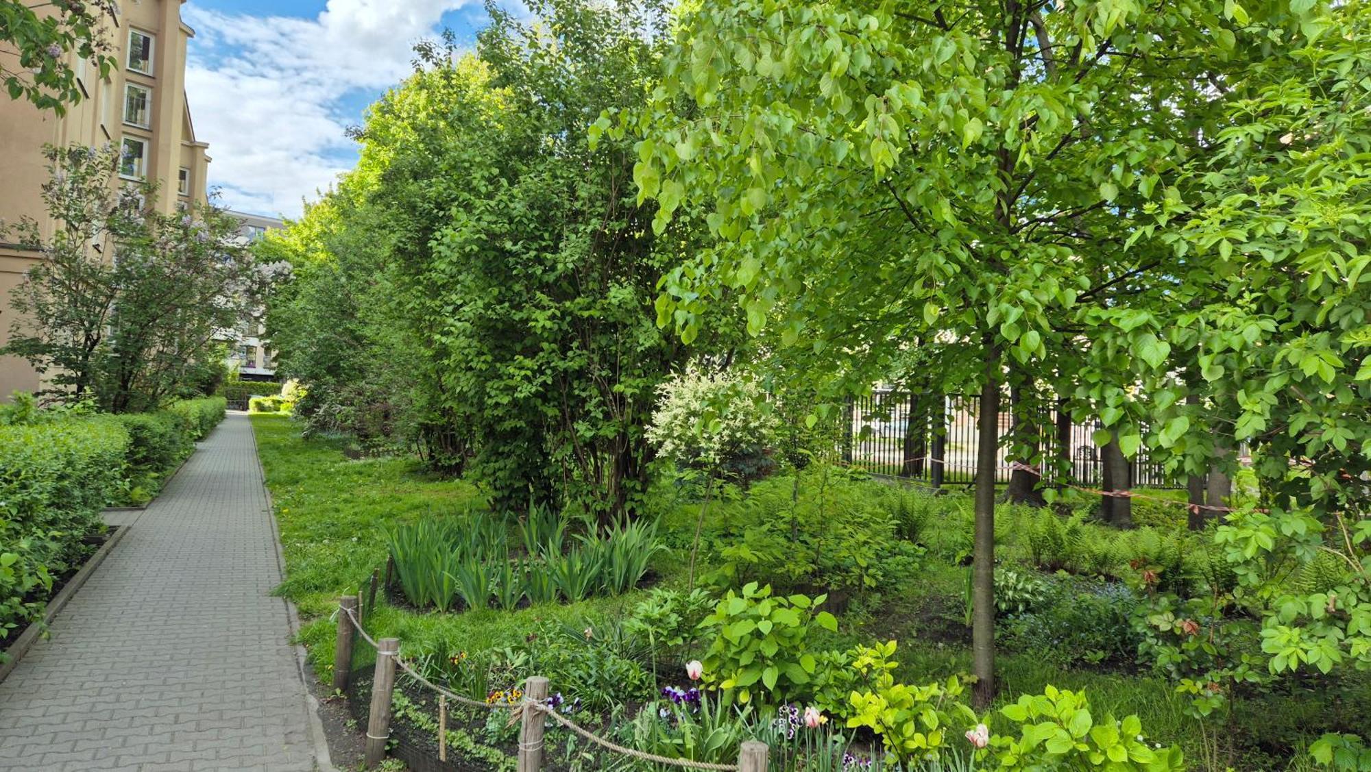 Apartament Daszynskiego Krakov Exteriér fotografie